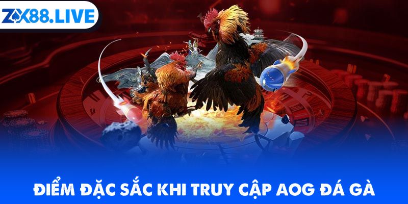 Điểm đặc sắc khi truy cập AOG đá gà